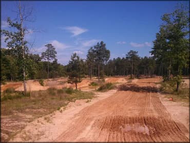 A dirt path through a forested area with trees and clear blue skies, showcasing a natural landscape.