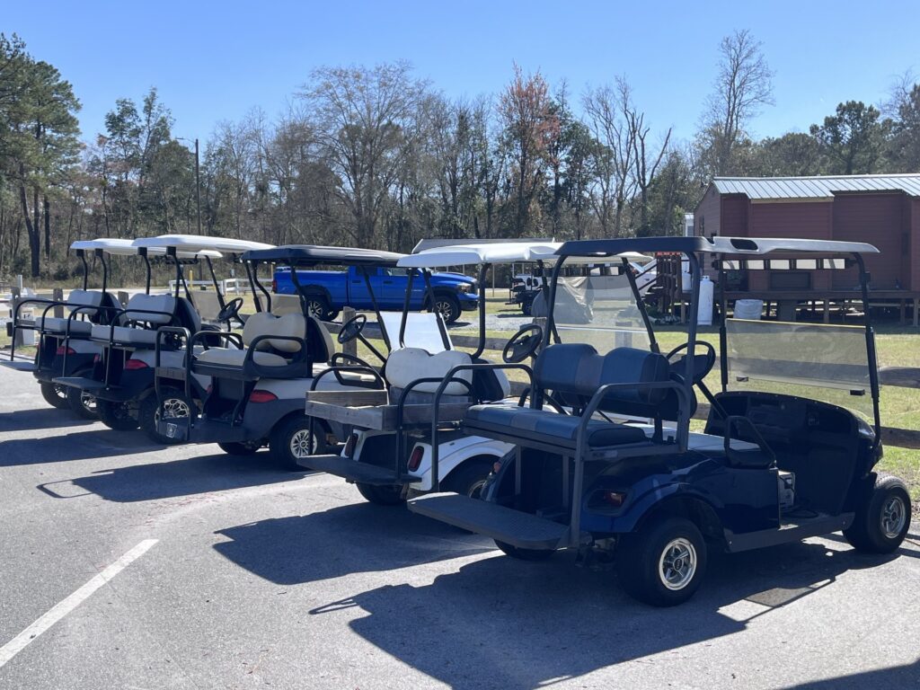 A row of parked golf carts in a sunny outdoor setting, showcasing their sleek design and ready for use.