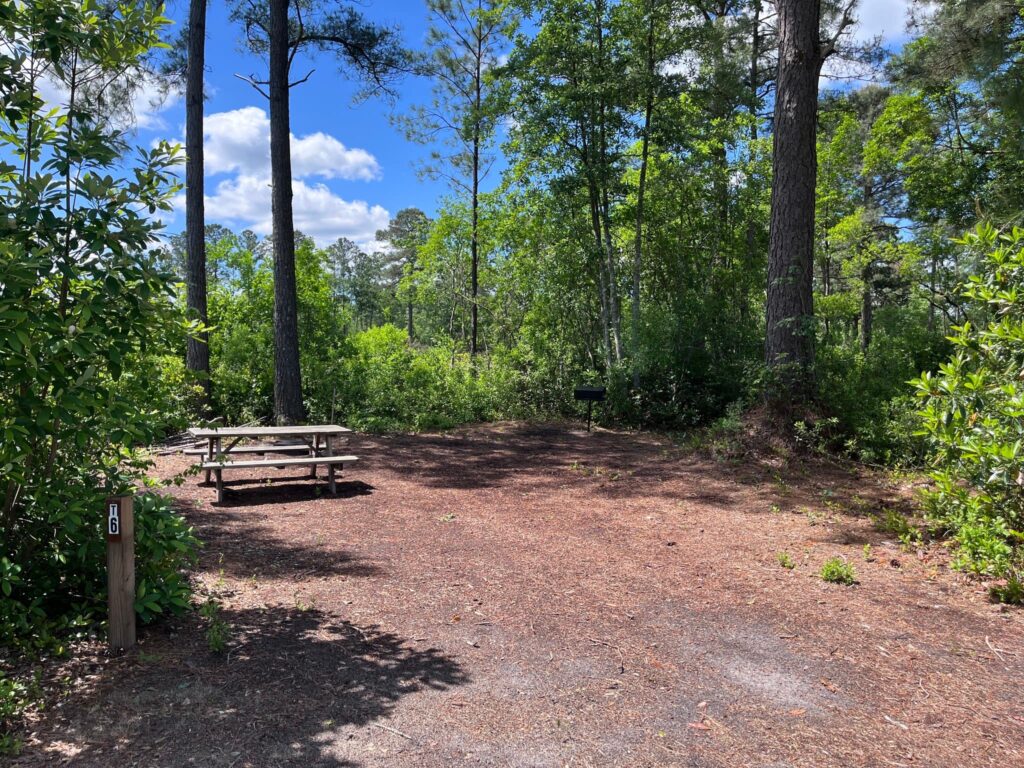 A serene camping site with a picnic table surrounded by lush greenery and tall trees under a bright blue sky.